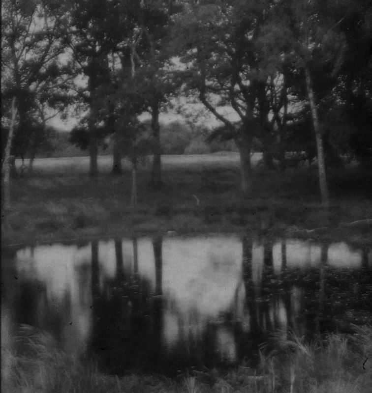 «فَما لِلفَتى إِلّا اِنفِرادٌ وَوَحدَةٌإِذا هُوَ لَم يُرزَق بُلوغَ المَآرِبِفَحارِب وَسالِم إِن أَرَدتَ فَإِنَّماأَخو السِلمِ في الأَيّامِ مِثلُ مُحارِبِ.»-ابو العلاء المعري.