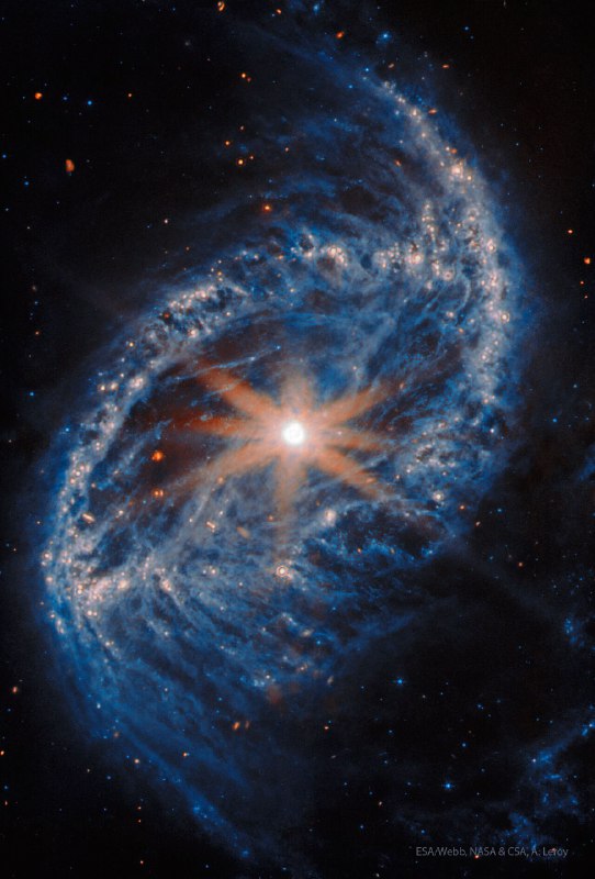 Spiral Galaxy NGC 2566 from Webbما الذي يحدث في مركز المجرة الحلزونية NGC 2566؟ أولاً، الأشعة الثمانية التي تبدو وكأنها تخرج من المركز في الصورة بالأشعة تحت الحمراء ليست حقيقية، بل هي تداخلات ناتجة عن هيكل التلسكوب الفضائي ويب. مركز NGC 2566 ساطع ولكنه ليس استثنائياً، مما يشير إلى أنه قد يحتوي على ثقب أسود هائل، ولكنه حالياً غير نشط كثيراً. تبعد المجرة 76 مليون سنة ضوئية، مما يعني أن الضوء الذي نراه اليوم غادر عندما كانت الديناصورات تعيش على الأرض. NGC 2566 قريبة بما فيه الكفاية لتسمح للتلسكوبات الأرضية مثل ويب وهابل بدراسة الغيوم المتقلبة من الغاز والغبار حيث يمكن أن تتشكل النجوم، مما يساهم في فهم تطور النجوم. وتُعتبر NGC 2566 مماثلة في حجمها لمجرتنا درب التبانة، وتتميز بشريط مركزي ساطع وأذرع حلزونية بارزة.