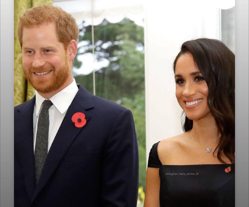 تنازل عن كلشي لأجلها وعاف عائلته، وتالي رگعته بوري معدل وصارت تريد منه طلاق وحضانه وبال80 مليون دولار وألقاب ملكية.سلوك الانثى الجامح علاقته عكسية وي ذكورية الرجل، كل نساء المجرمين 