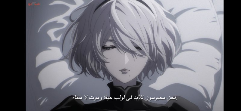 NieR