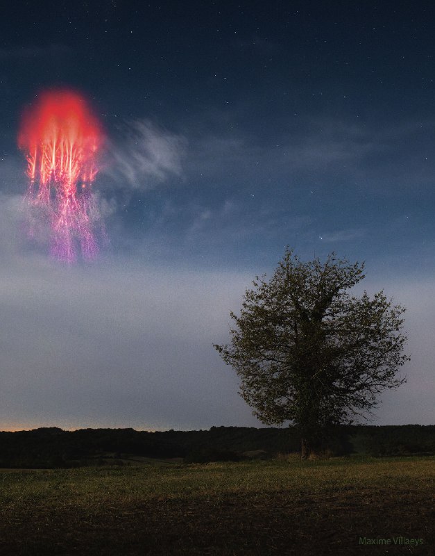 The sprite and tree could hardly be more different. To start, the red sprite is an unusual form of lightning, while the tree is a common plant. The sprite is far away -- high in Earth's atmosphere, while the tree is nearby -- only about a football field away.  The sprite is fast -- electrons streaming up and down at near light's speed, while the tree is slow -- wood anchored to the ground. The sprite is bright -- lighting up the sky, while the tree is dim -- shining mostly by reflected light. The sprite was fleeting -- lasting only a small fraction of a second, while the tree is durable -- living now for many years.  Both however, when captured together, appear oddly similar in this featured composite image captured early this month in France as a thunderstorm passed over mountains of the Atlantic Pyrenees.    Your Sky Surprise
