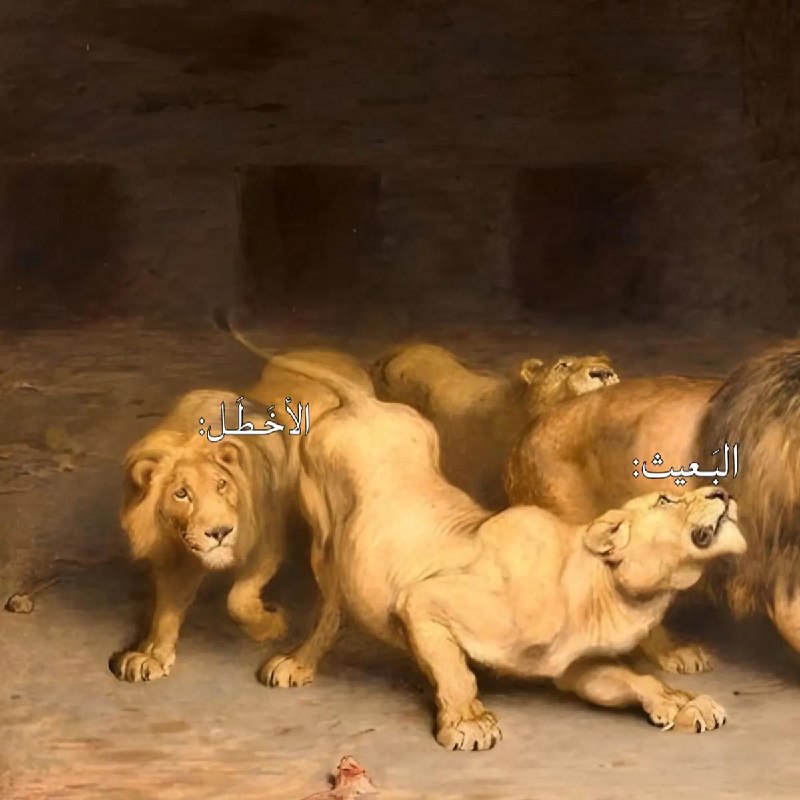 __