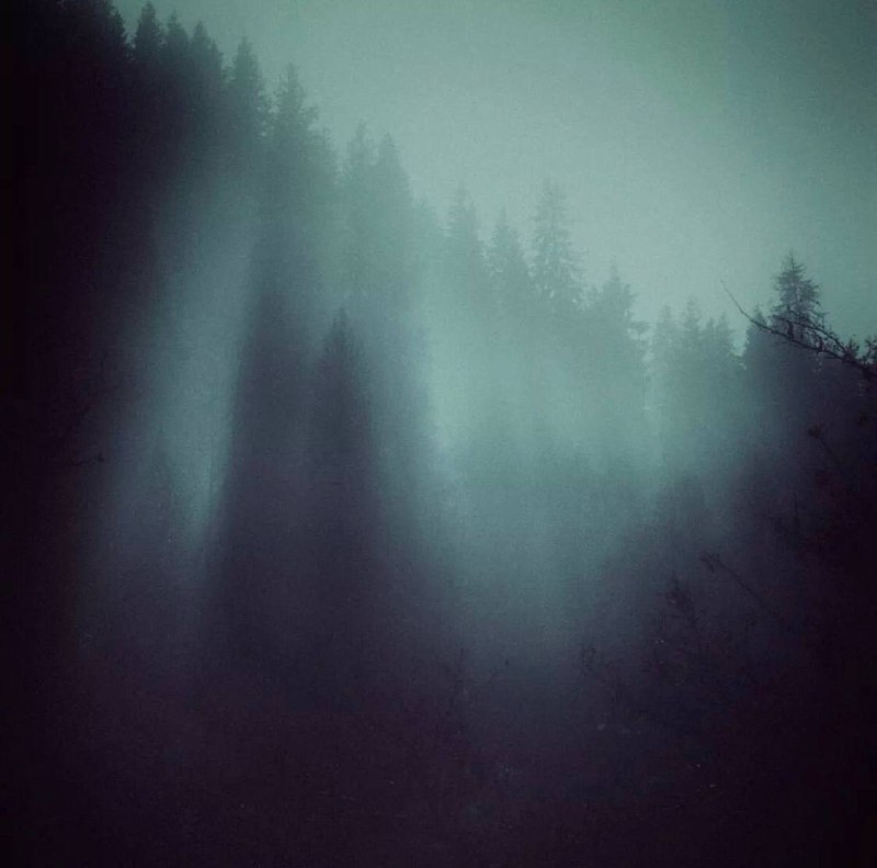 «أَعَزُّ مَكانٍ في الدُنى سَرجُ سابِحٍ‏وَخَيرُ جَليسٍ في الزَمانِ كِتابُ.»