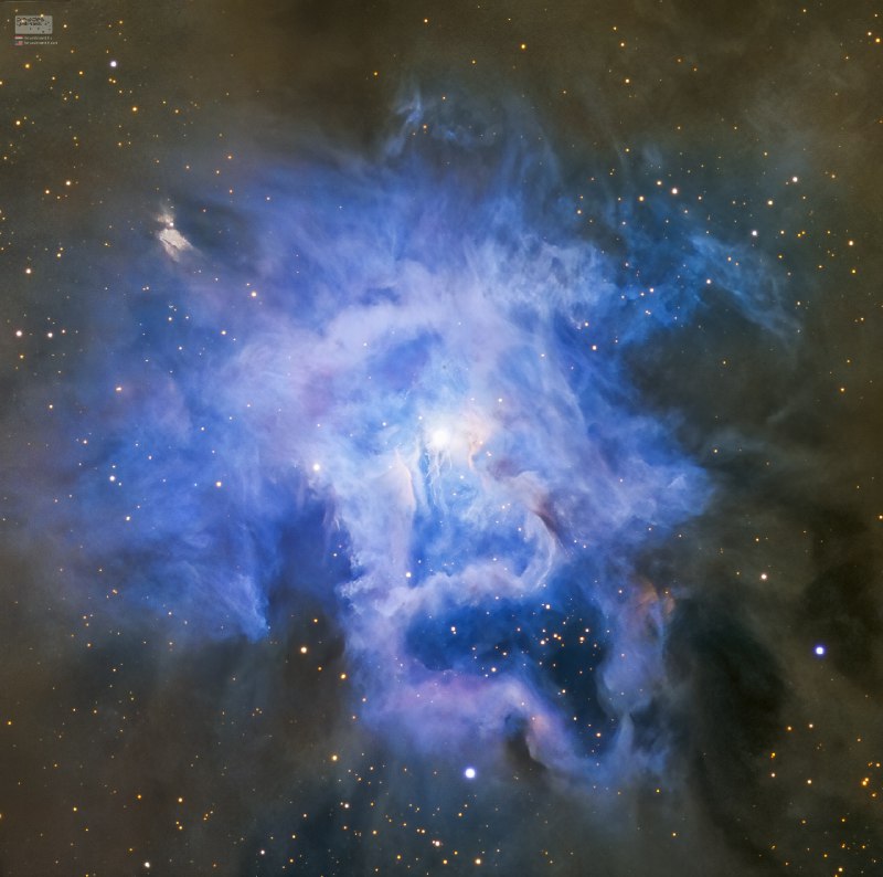 These cosmic clouds have blossomed 1,300 light-years away in the fertile starfields of the constellation Cepheus. Called the Iris Nebula, NGC 7023 is not the only nebula to evoke the imagery of flowers. Still, this deep telescopic image shows off the Iris Nebula's range of colors and symmetries embedded in surrounding fields of interstellar dust. Within the Iris itself, dusty nebular material surrounds a hot, young star. The dominant color of the brighter reflection nebula is blue, characteristic of dust grains reflecting starlight. Central filaments of the reflection nebula glow with a faint reddish photoluminescence as some dust grains effectively convert the star's invisible ultraviolet radiation to visible red light. Infrared observations indicate that this nebula contains complex carbon molecules known as PAHs. The dusty blue petals of the Iris Nebula span about six light-years.