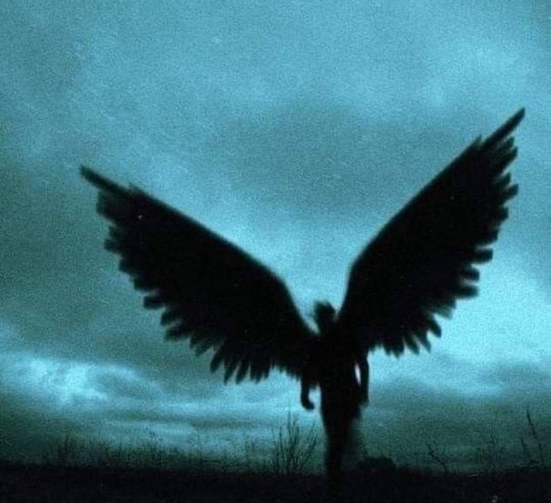 يقولُ الجاحظ