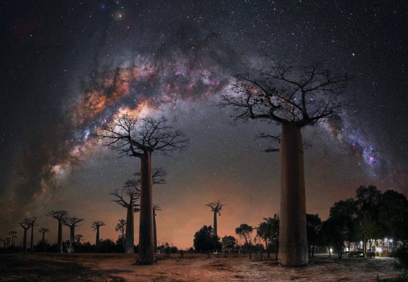 «وَفضيلةُ النومِ الخروجُ بأهلِهِ‏              عن عالَمٍ هوَ بالأذى مَجبولُ.»يقول ابو العلاء المعري انّ للنوم فضيلة، ولكن ليست كايّة فضيلة.. ان النّوم يذهب بصاحبهِ بعيدًا عن هذا العالمفهو مخرجٌ اهله من هذا الواقع الديستوبي المطبوع على الشَّر!